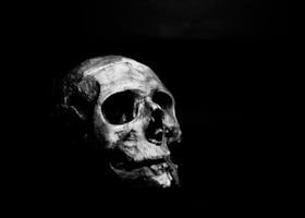Moody black and white photo of a skull on a dark background.